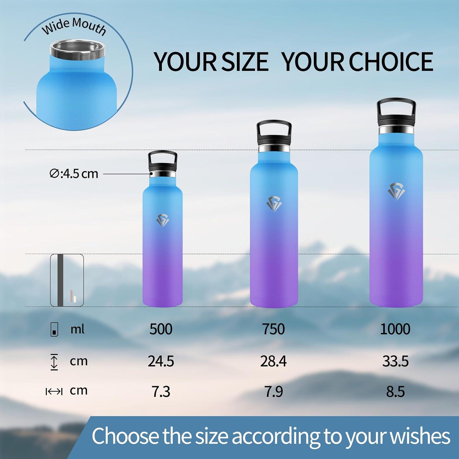 image:imageHoneyHolly Gourde Isotherme 500 ML Gourde INOX avec Paille Bouteille deau sans BPA Rutilisable AntiFuite Isolation sous Vide en Acier Inoxydable Double Paroi pour Enfants Adultes SportBleu Ciel Violet 1000 Ml